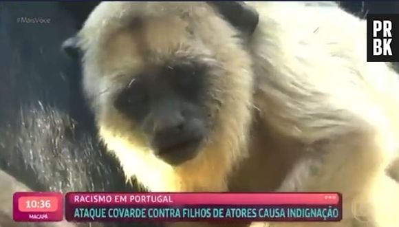 Enquanto apresentadora falava sobre o racismo sofrido pelos filhos de Giovanna Ewbank e Bruno Gagliasso, a edição mostrava imagens de macacos