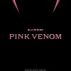 BLACKPINK confirmou, no último domingo (7), lançamento do single "Pink Venom" para 19 de agosto