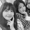 Lisa se declarou para o BLACKPINK: "Não vivo sem vocês"