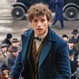 "Harry Potter" pode ganhar também novos filmes, depois de "Animais Fantásticos" 