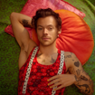 Harry Styles no Brasil: São Paulo terá show extra. Confira!