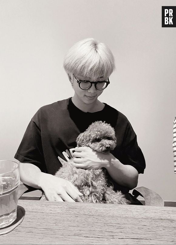 RM, do BTS, sempre posta foto com pets nas redes sociais