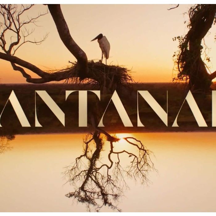 &quot;Pantanal&quot; teve tanta emoção fora das telas quando na novela