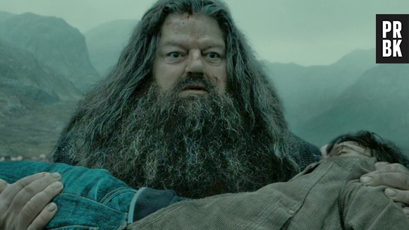 Robbie Coltrane se tornou mundialmente famoso ao dar vida a Rúbeo Hagrid, guardião de Hogwarts na franquia "Harry Potter"