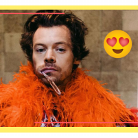 Harry Styles no Brasil: falas em português, funk e os 10 melhores momentos dele aqui