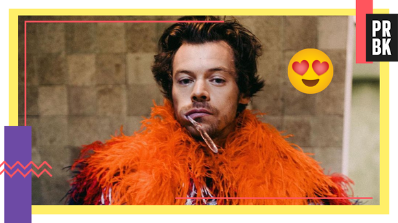 Harry Styles no Brasil: 10 melhores momentos do cantor 
