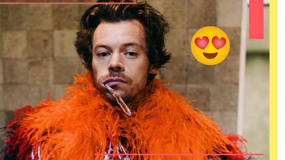 Harry Styles no Brasil: falas em português, funk e os 10 melhores momentos dele aqui