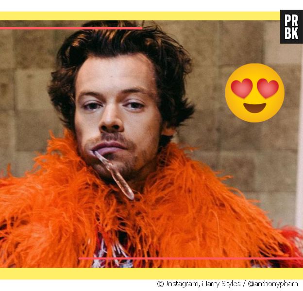 Harry Styles no Brasil: 10 melhores momentos do cantor 

