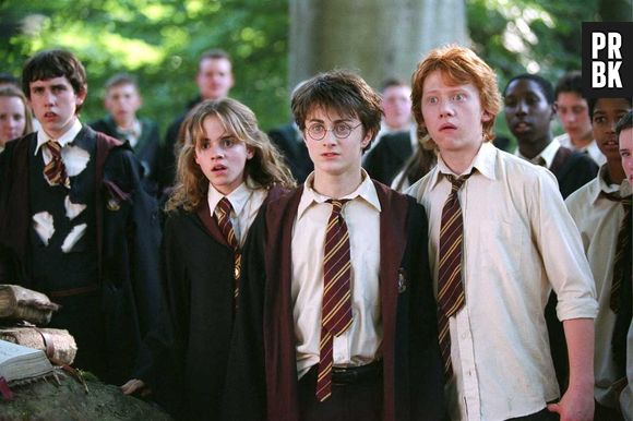 "Harry Potter" e "Rebelde" dividiram dublador para versão português do Brasil