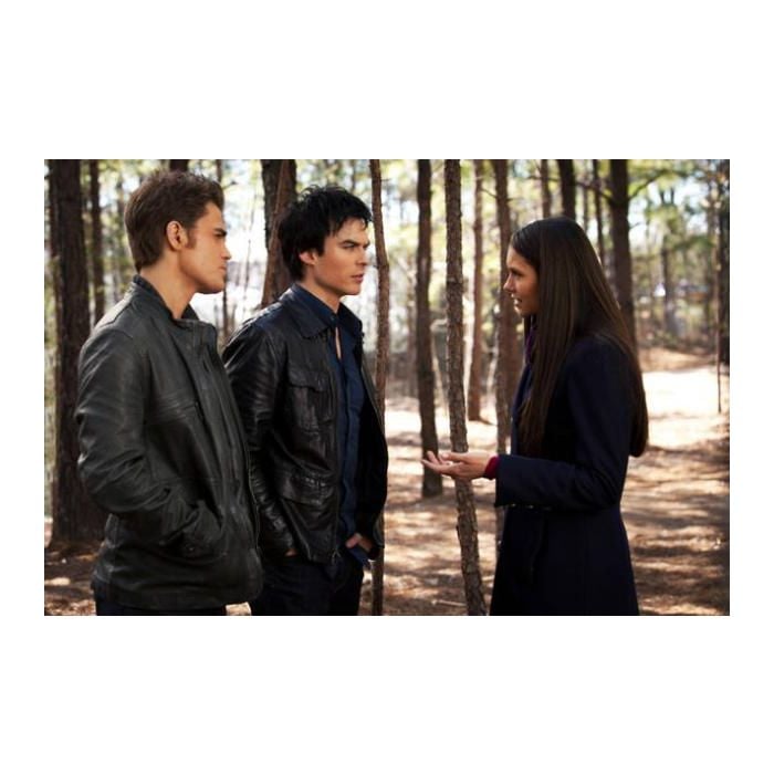 Elenco de &quot;The Vampire Diaries&quot; faz posts relacionados à série em dezembro e levantam suspeitas de comeback