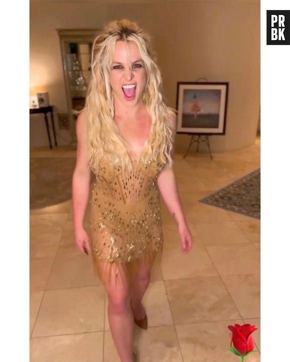 Britney Spears está curtindo a vida de solteira