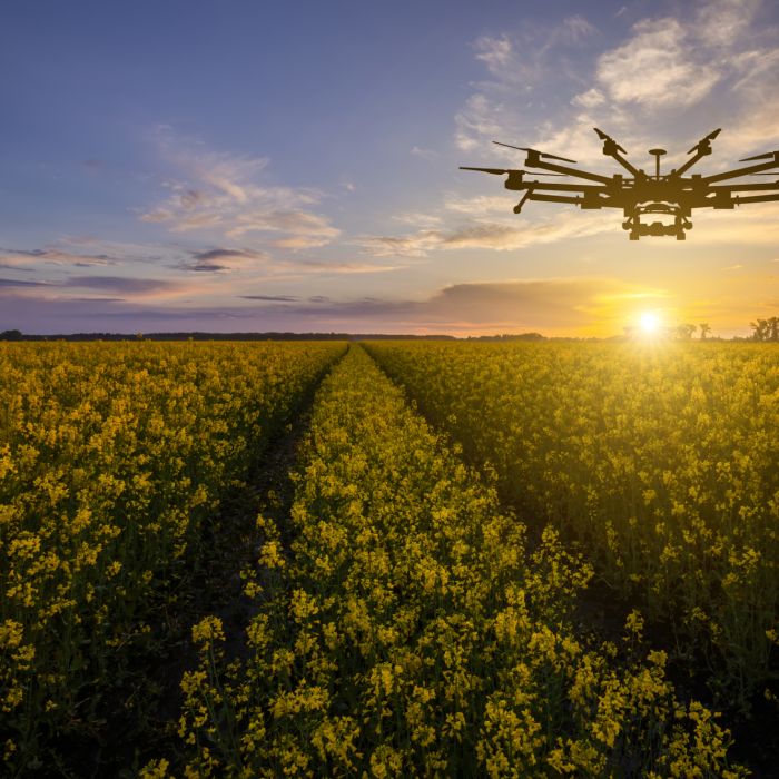 Falha em drone da Alphabet resulta em corte de eletricidade para 2.000 pessoas