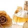 5 perfumes Floratta que correspondem aos perfumes de ricos