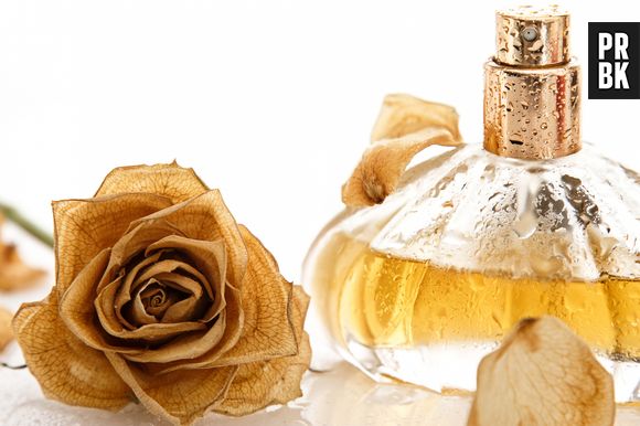 5 perfumes Floratta que correspondem aos perfumes de ricos