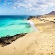 Praia artificial nas Ilhas Canárias é paraíso para tubarões-anjo