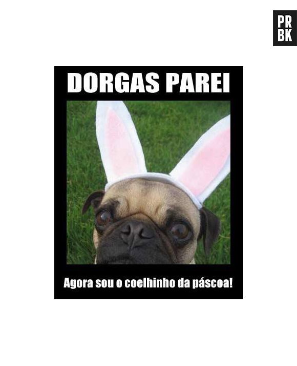 Será que no Whatsapp as pessoas vão se fantasiar para a Páscoa?