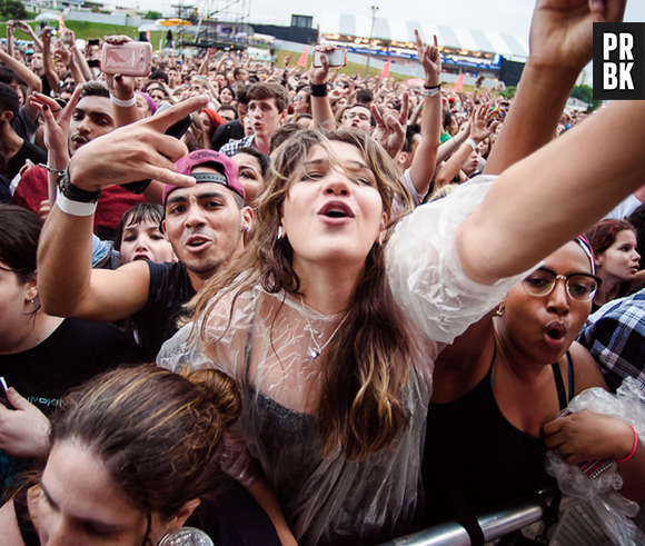 Fãs curtem muito o Lollapalooza 2015