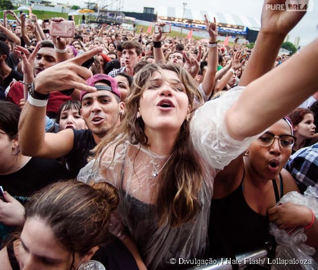 Fãs curtem muito o Lollapalooza 2015