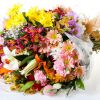 Flores são legais, bonitas, mas no final só servem de enfeite pra casa!
