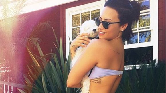 Ariana Grande, Demi Lovato, Selena Gomez e mais: Qual vai ser a musa do verão americano em 2015?!