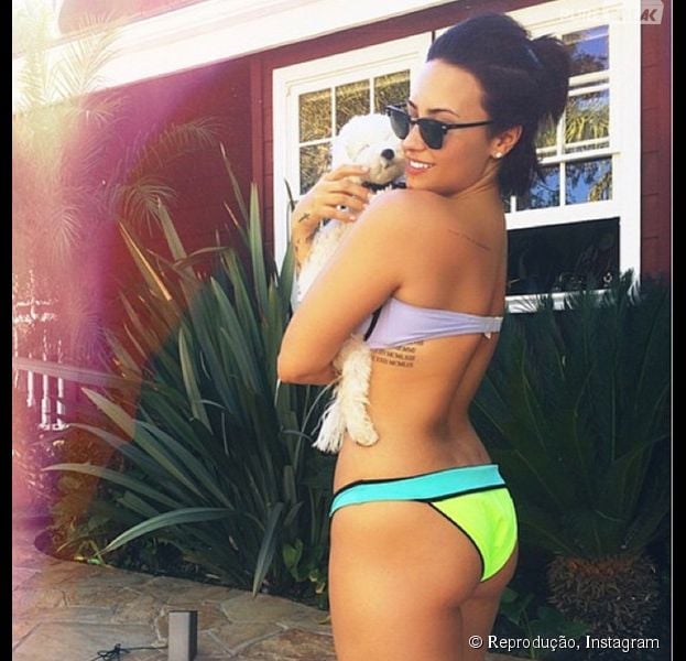 Demi Lovato, com seu novo shape sarado, desponta como uma das favoritas ao posto de musa do ver&atilde;o 2015