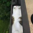  Que moleza para esse gatinho que s&oacute; quer saber de deitar no banco e curtir o sol 