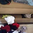  Gatos aventureiros adoram se esconder entre as camas dos donos, principalmente se tiver um bagun&ccedil;a 