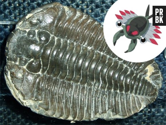 Para fazer o Anorith foram lá atrás buscar o Anomalocaris