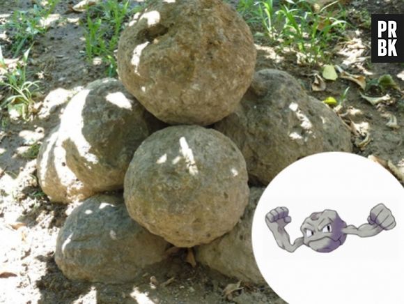 O Geodude é uma pedra, simples assim!