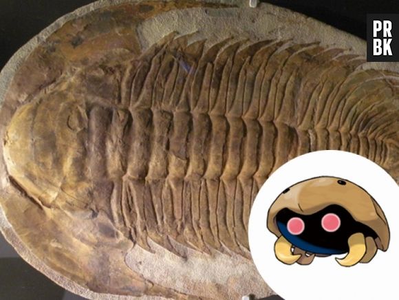 O já existiu Kabuto e se chamava Trilobita