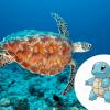 O Squirtle é uma Tartaruga Marinha e espero que todo mundo já tenha entendido isso