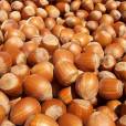 25% das colheitas de avelã do mundo são destinadas à fabricação de Nutella