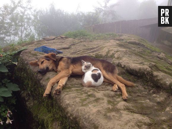 Descansando depois de um dia bastante cansativo...