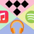 Não basta o Spotify ter o Apple Music, Tidal e o Google Play Music no seu pé, agora também tem o Electric Jukebox