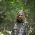 Em "The Walking Dead", fotos promovem próximo episódio da série!