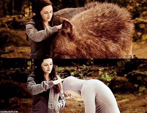Na "Saga Crepúsculo", Kristen Stweart deve ter se divertido ao acariciar o Taylor Lautner dessa forma!