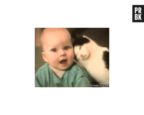 Fofo