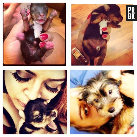 Quem também não desgruda de seu filhote é a cantora Preta Gil. Olha ela e Givenchy