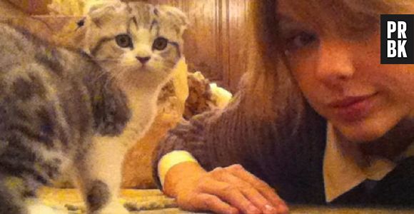 Indo para os felinos, Taylor Swift é dona da gatinha Meredith. Vontade de morder, gente!