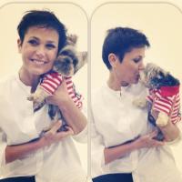 Confira os animais de estimação dos famosos! Um mais fofo que o outro