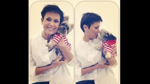 Confira os animais de estimação dos famosos! Um mais fofo que o outro