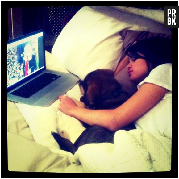 Olha com quem Selena Gomez dorme de conchinha! Não é com Justin Bieber, não! É com o cachorrinho Bailer