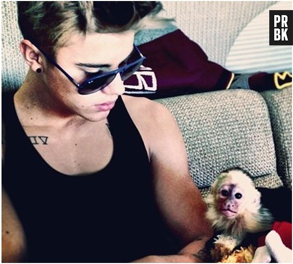 Mais exótico, Justin Bieber tinha um macaco chamado Og Mally, que foi apreendido após ele não ter documentos que comprovasse ser dono do animal #chatiado