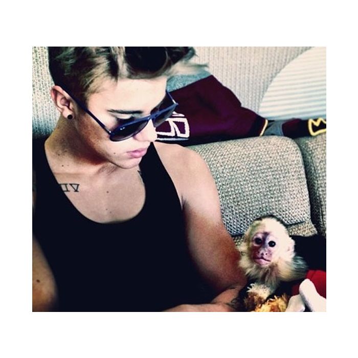 Mais exótico, Justin Bieber tinha um macaco chamado Og Mally, que foi apreendido após ele não ter documentos que comprovasse ser dono do animal #chatiado