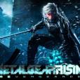 "Metal Gear Rising: Revengeance" o game é exclusivo para PC.