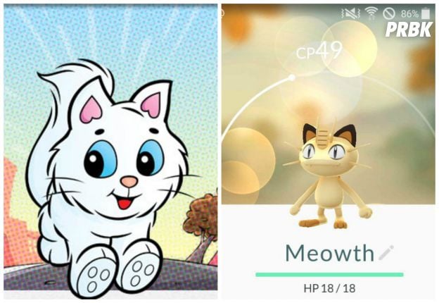 O pokemón Meowth, se fosse brasileiro, seria a gata Mingau