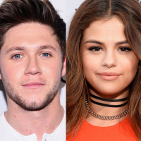 Selena Gomez e Niall Horan Juntos? Cantor deixa comentário no Instagram dela e fãs especulam