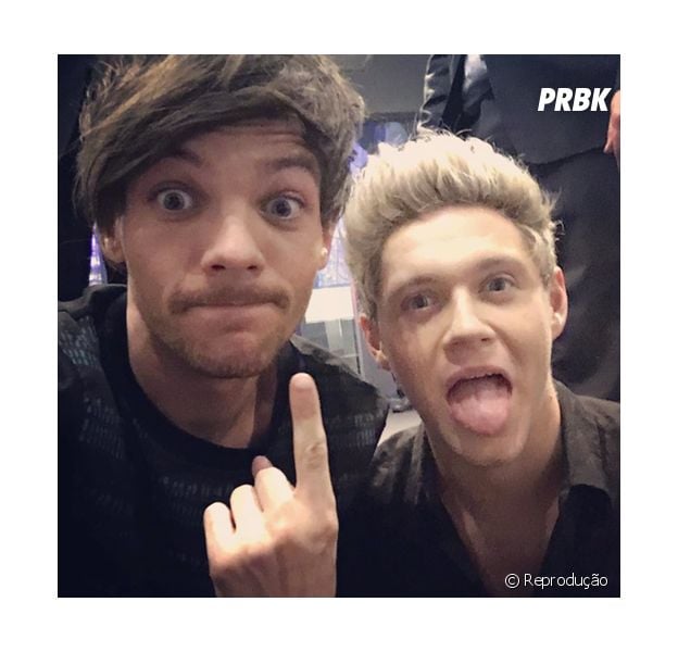 Niall Horan revela que Louis Tomlinson foi o responsável por manter o One Direction unido!