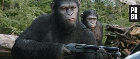 "Planeta dos Macacos: O Confronto" chega em julho aos cinemas brasileiros