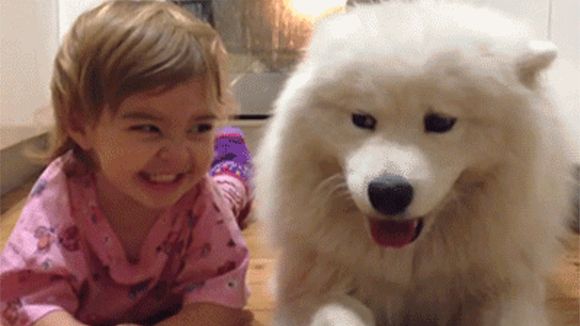 23 GIFs simpáticos para animar o dia de qualquer pessoa